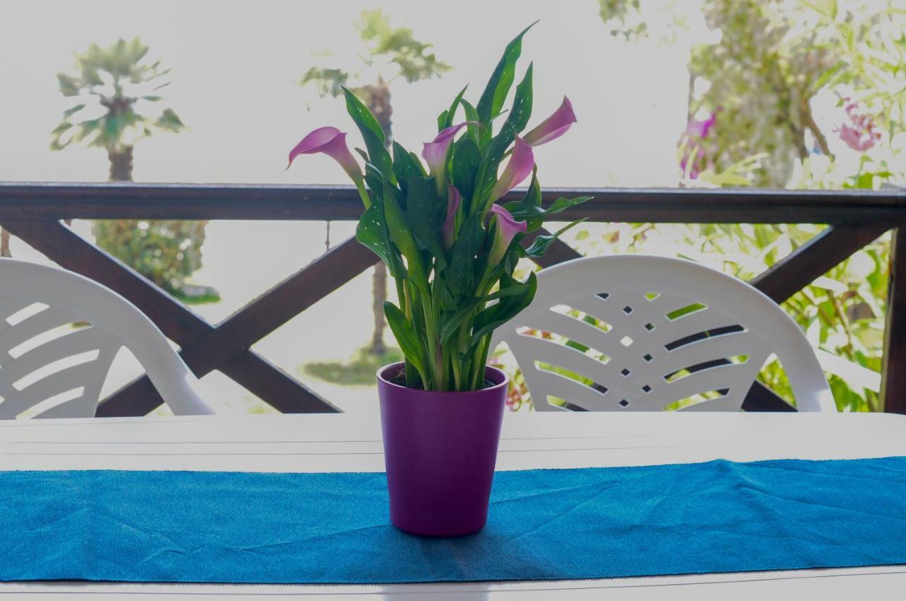 Alexger Beach Front Deluxe House นิกิติ ภายนอก รูปภาพ